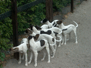 2-picture8.gif