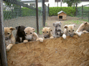 3-picture1.gif